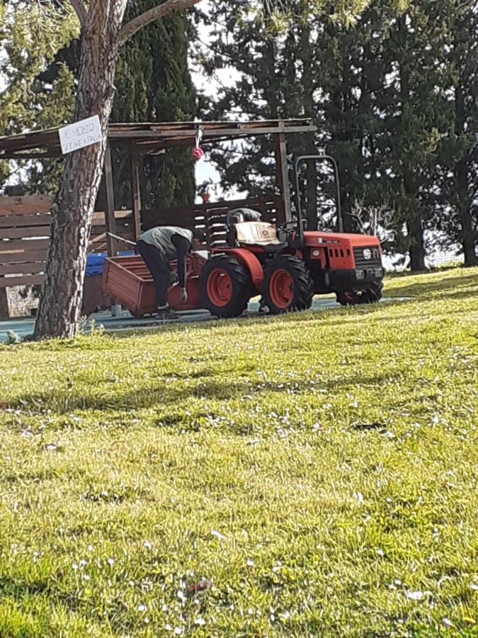 Farm stay Colle Cornetto *