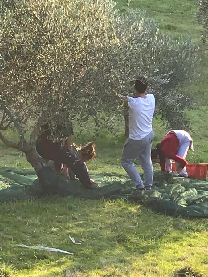 Colle Cornetto Farm stay Spoleto