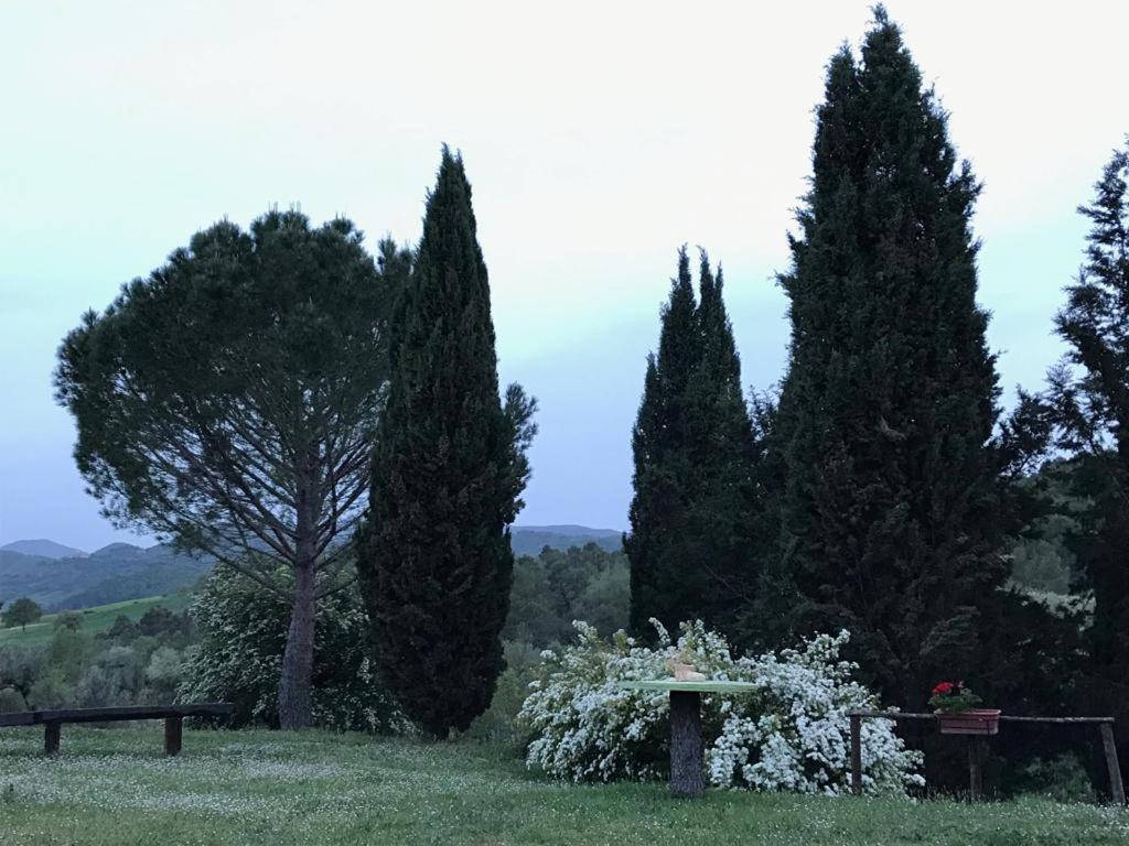 Farm stay Colle Cornetto